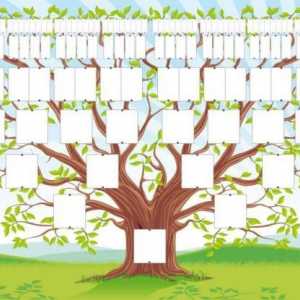 Arbore genealogic prin mâinile proprii: selecție de informații, construcție corectă, idei de design