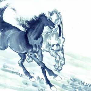 Anul calului: caracteristic pentru toate semnele horoscopului estic