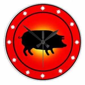 Anul porcului. Ce va aduce anul porcului pentru semnele zodiacului. Caracteristicile anului Porci