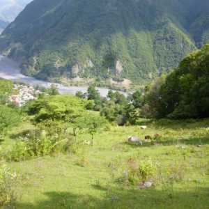 Râul de munte și satul Ashe: odihnă, recenzii, atracții