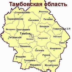 Orașe din regiunea Tambov: listă. Teritoriu, populație
