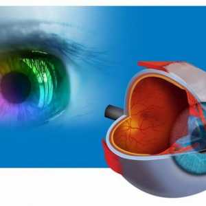 GU `Institutul de Boli ochi `(Ufa): corectarea vederii, diagnosticul si tratamentul bolilor…