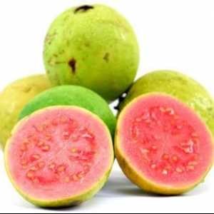 Guava - fructele sunt exotice și foarte utile