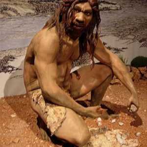 Homo Heidelbergensis sau un bărbat din Heidelberg. Cum arăta bărbatul Heidelberg și ce a făcut el?