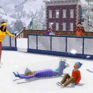 Realizăm rezultatul sau cum să dezactivați nevoile în "Sims-3"?