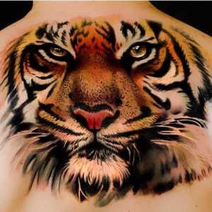 Valorile interesante ale tatuajului. Tigrul în diferite culturi