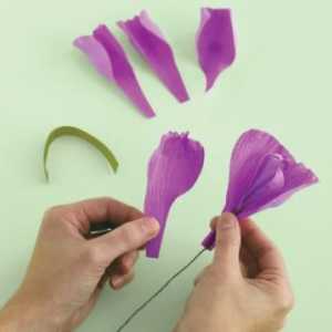 Irisuri din hârtie ondulată: clasă de master și recomandări