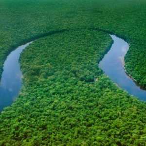 Sursă de alimentare a râului Congo. Identificarea surselor