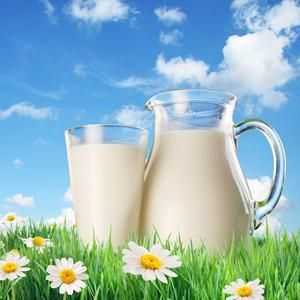 Din ce este făcut laptele? Cum se face lapte praf?
