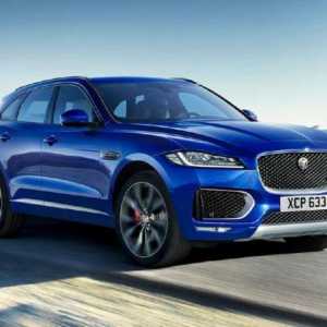 `Jaguar`, crossover: recenzie, descriere, caracteristici tehnice și recenzii
