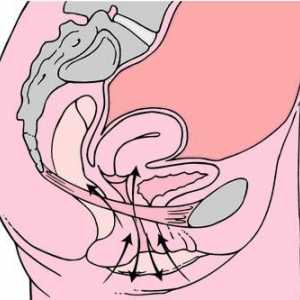 Exerciții eficiente Kegel cu prolaps uterin
