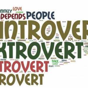 Extroversiunea este ... Bazele psihologiei. Scară de introversiune, extraversiune