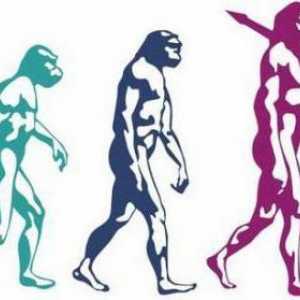 Evoluția în biologie este ... Istoria dezvoltării