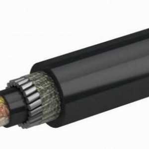 Cablu DPS: descrierea și scopul produsului