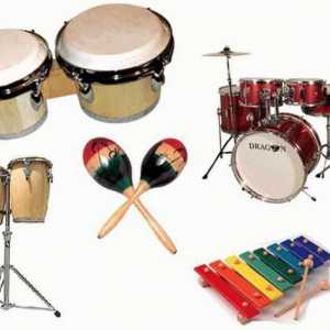 Cum se folosesc instrumente de percuție în muzică? Un instrument muzical pentru copii din grupul de…