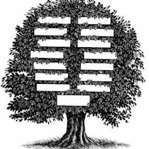 Cum de a desena un arbore genealogic: sfaturi practice