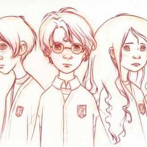 Cum să atragă Harry Potter și prietenii lui: un ghid pentru fanii adevărați