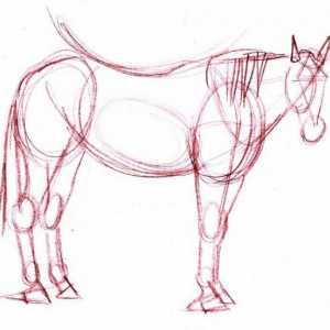 Cum să atragă un cal cu un simplu creion