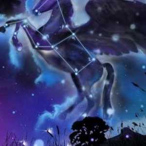 Cum a apărut constelația Pegasus și unde să o caute