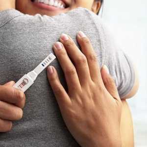 Cum se calculează corect durata sarcinii: Instrucțiuni