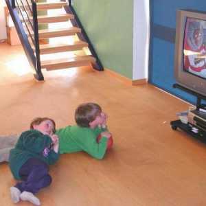 Cum sa alegi animatia potrivita copiilor de 2 ani
