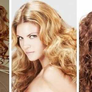 Cum funcționează stilul pe termen lung pentru părul lung?