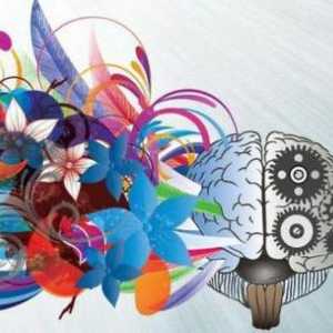 Cum să dezvolți imaginația și creativitatea: metode și recomandări eficiente