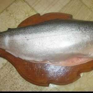 Cum să sărind păstrăv acasă, și, de asemenea, să recolteze un alt pește roșu