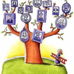 Cum se face un arbore genealogic. Instrucțiuni pas-cu-pas
