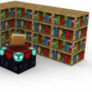 Cum se face în Maynkraft un raft de bibliotecă și care este folosirea acesteia?