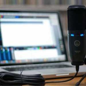 Cum se înregistrează vocea de la microfon la computer: instrucțiuni detaliate