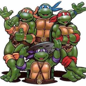 Care este numele țestoasei ninja? Cine este printre super-eroii verzi