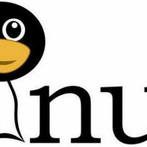Ce sunt editorii de text în Linux