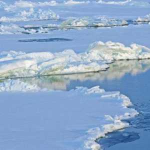 Ce continente sunt spălate de Oceanul Arctic? Caracteristicile sale