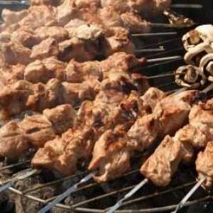 Care carne este mai bine să ia pe kebab shish: carne de porc, carne de vită, oaie sau păsări de…