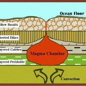 Care este elementul principal care formează crusta pământului?