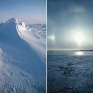 Clima tundrei în Rusia și America de Nord