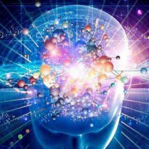 Cunoașterea psihologiei cognitive: reprezentanți și idei principale