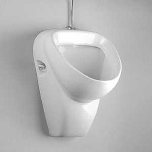 Compania Ido: vas de toaletă - o combinație de frumusețe și funcționalitate