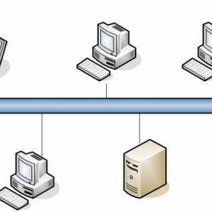 Rețele de calculatoare: caracteristici de bază, clasificare și principii de organizare