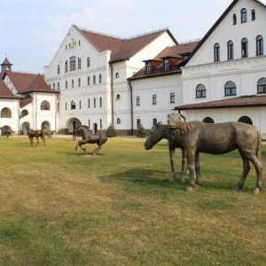 Parcul de cai "Rus" - un loc de renaștere a tradițiilor de creștere a calului rusesc și…