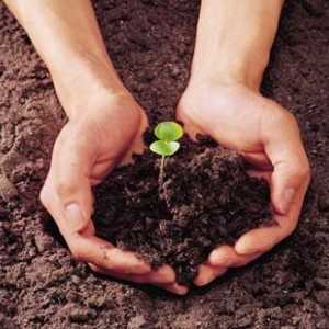 Controlul poluării solului: metode, instrumente