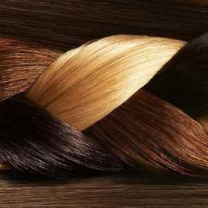 Vopsea pentru păr Capous: fotografie, recenzii. Paint `Kapus`: paleta (culorile)