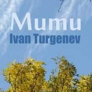 Rezumat al IS "Mumu` Turgenev