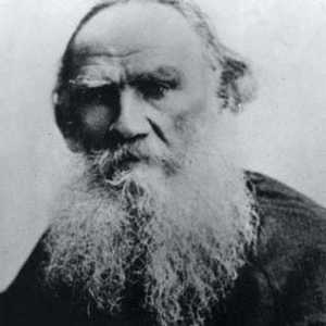 Rezumat: Tolstoi, "Dupa minge". Poveste de prima persoană