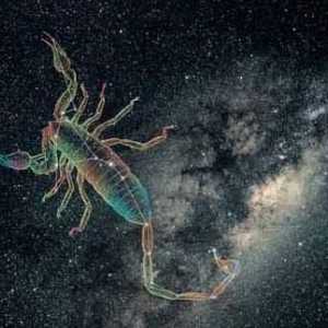 Cine se apropie de Scorpionul de semnele zodiacului?