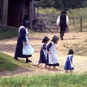 Cine sunt Amish? Avantajele unei noi rase din trecut?