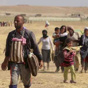 Cine este Yezidi? Etnică: rădăcini, credință