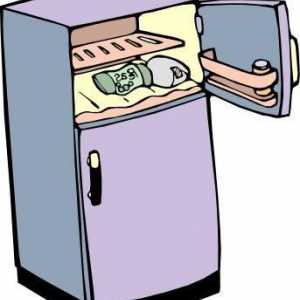 Unde să puneți frigiderul vechi: opțiuni posibile