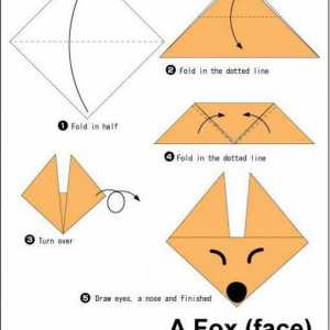 Fox-origami: clasă de master în asamblare